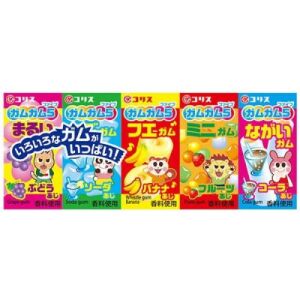 CORIS 5 Flavor Pet Chewing Gum 37g