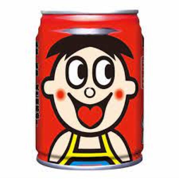 Want Want Milk Drink 245ml