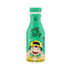 TONGYI Cold Brewed Green Tea 480ml
