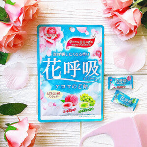 KASUGAI Rose Fruit Throat Candy 67g