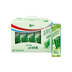 Mengniu Fruit Milk Drink (Aloe Flavor 250ml x12)