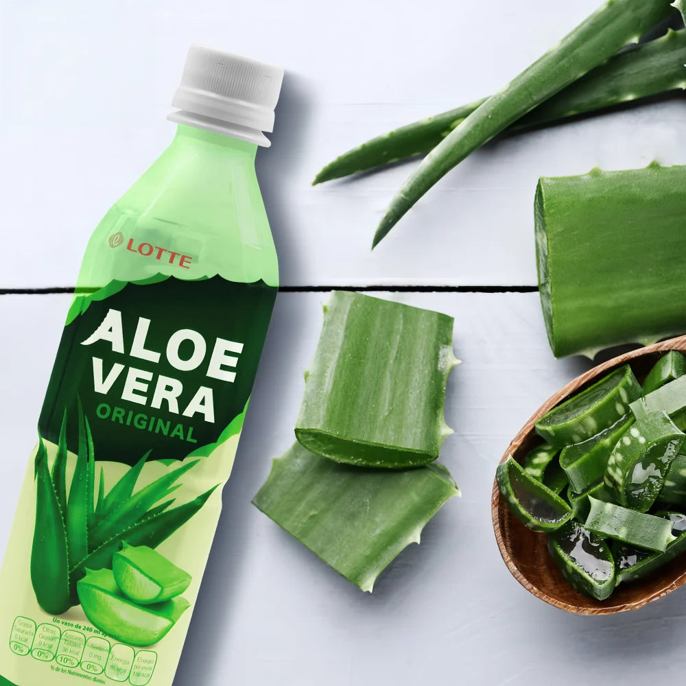 LOTTE Aloe Vera 24% Drink 500ml