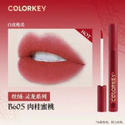 COLORKEY Air Matte Lip Gloss B605