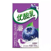 Yili Yogurt Blueberry 250ml