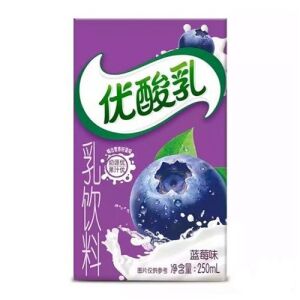 Yili Yogurt Blueberry 250ml