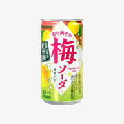SANGARIA Ume Flavored Soda Can 190g