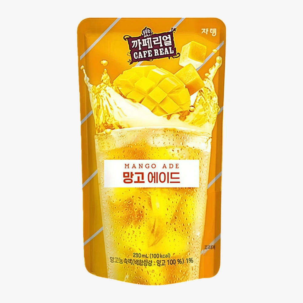 Boisson JARDIN Café au vrai goût de mangue 230 ml