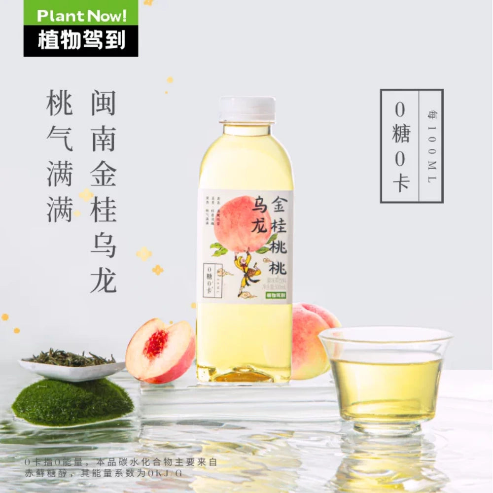 ZWJD Osmanthus Peach Oolong Tea 500ml