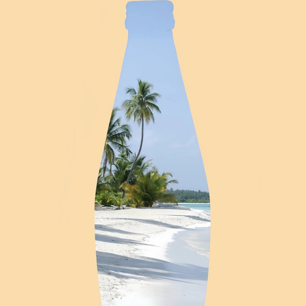 Boisson à la noix de coco TAS Melon 290 ml