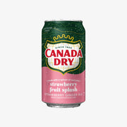 CANADA DRY Fruit Splash Strawberry Gingerale 355ml