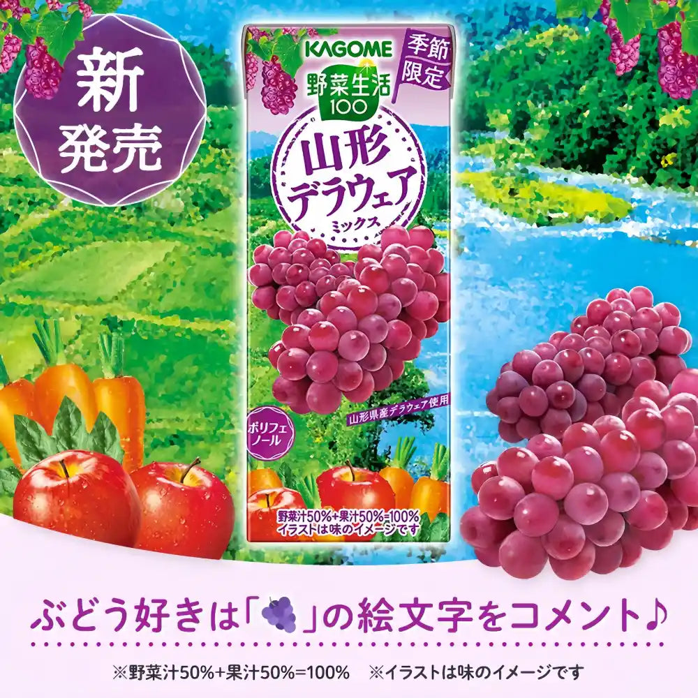 KAGOME Vegetable 100 Mixed Grape Juice 200ml