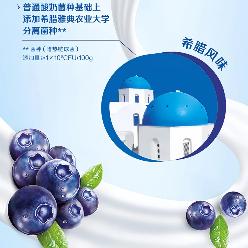 AMBPOEIAL Greek Yogurt (Blueberry Flavor )  205ml