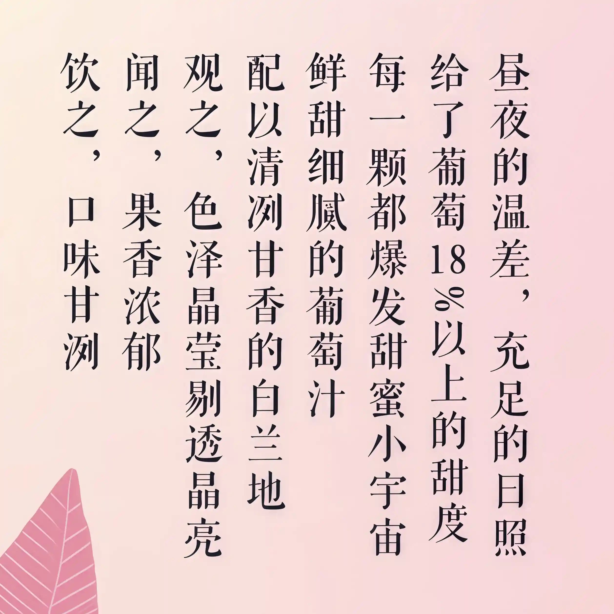 RIO Juice Light Grape Flavour 330ml