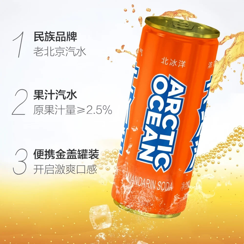 ARCTIC OCEAN Mandarin Soda Drink 330ml X 6