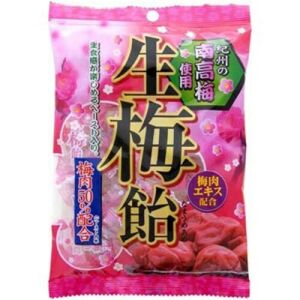 Ribon Kishu Raw Plum Filled Candy 110g