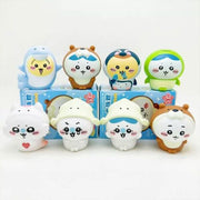 Mystery  Box - Chikawa Aquarium