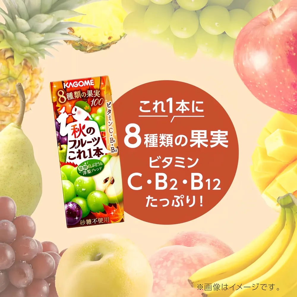 KAGOME Autumn Mixed Fruit Juice 200ml