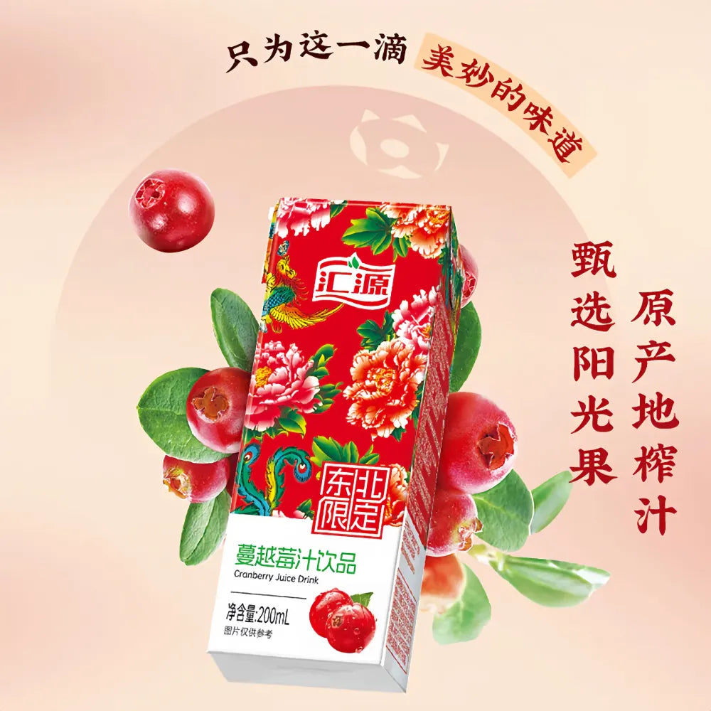 Jus de canneberge HUIYUAN 200 ml x 12