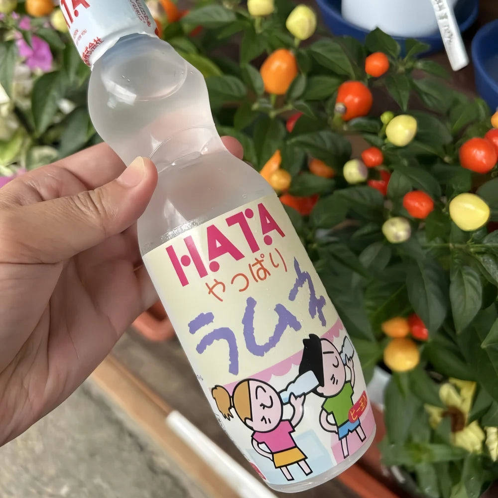 Hata Ramune Soda Yappari Saveur Après tout 250ml