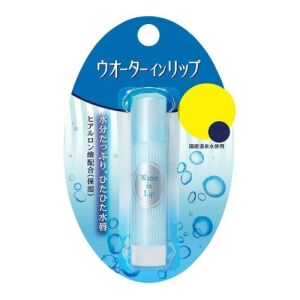 SHISEIDO Lip Cream (Blue)
