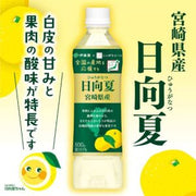 Jus d'agrumes ITOEN Hyuga Natsu 500 g