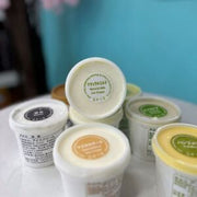 FUJIREIKA Japan Handmade Ice Cream Nature Milk Flavor