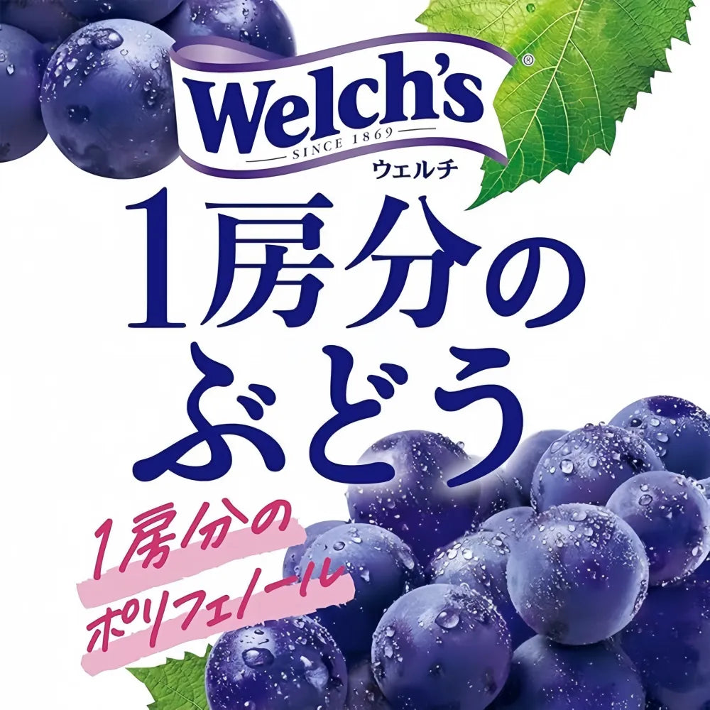 ASAHI Welch's 1 Bunch of Grape Juice 470ml