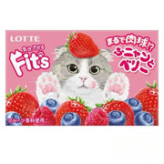 Lotte Fit's Chewing Gum Fruity Berry Flavor 12 pieces