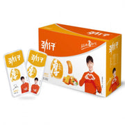 JZ Bean Curd Salt Roasted Flavor 25g*20