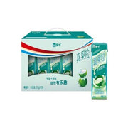 Mengniu Fruit Milk Drink (Coconut Flavor) 250ml x 12
