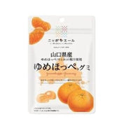 Bonbons gélifiés géants Nippon Yell Toyama Nyuzen (saveur mandarine) 40 g