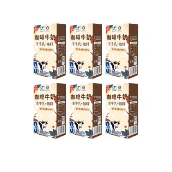 Lait au café TIANTAI 250 ml