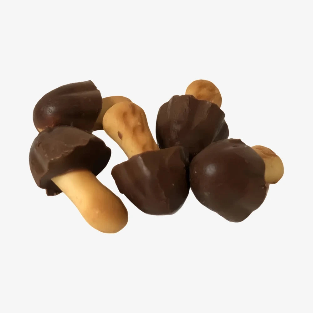 MEIJI Mushroom Mountain Chocolate Cookie 66g