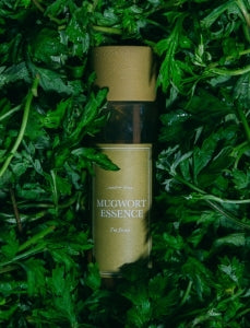 IM FROM Mugwort Essence 160ml