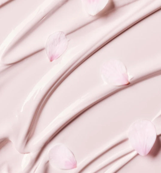 INNISFREE Jeju Cherry Blossom Tone-up Cream 50ml